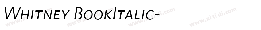 Whitney BookItalic字体转换